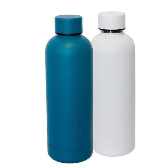 Stainless Steel Bottle
